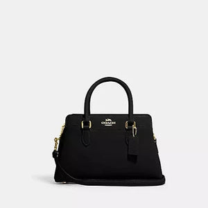 Mini Darcie Carryall