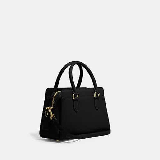Mini Darcie Carryall